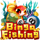 Bingo Fishing on Sports betting